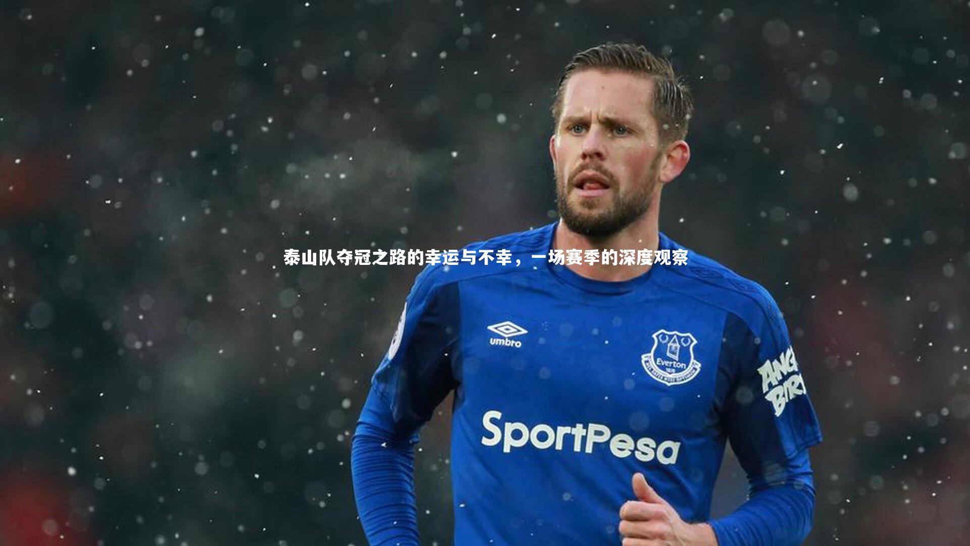 泰山队夺冠之路的幸运与不幸,一场赛季的深度观察